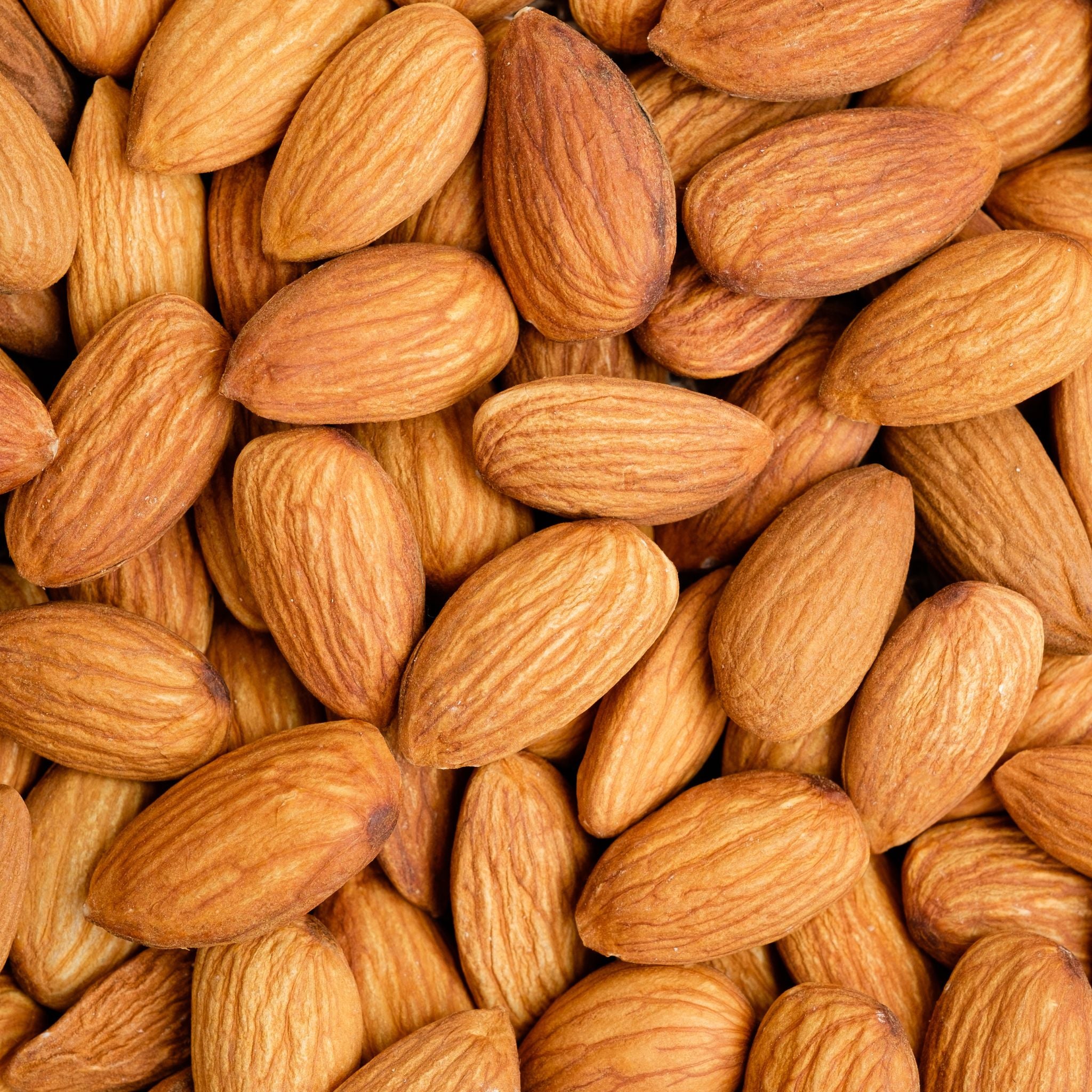 Mixed Nuts