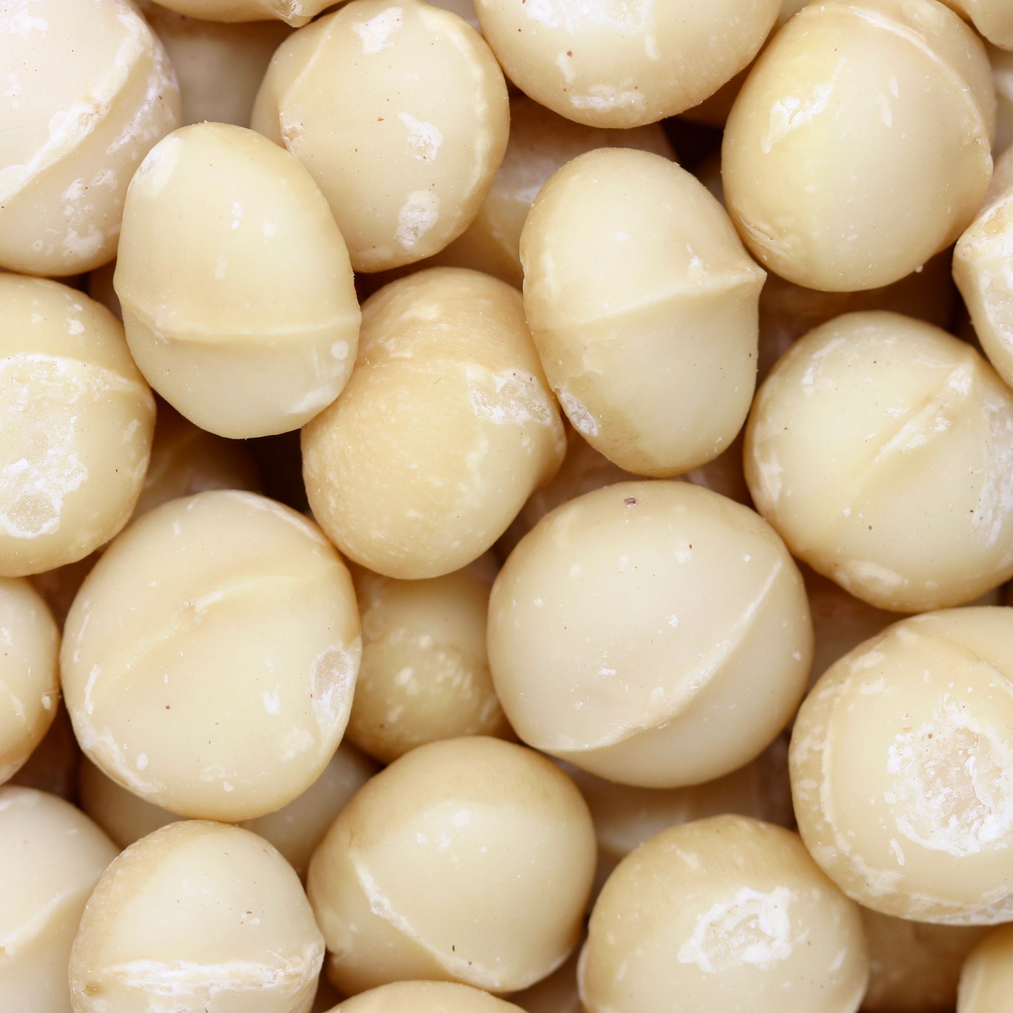 Mixed Nuts